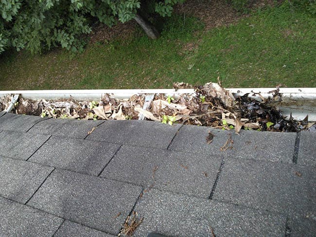 Cleaning Blocked Gutters in Waddington