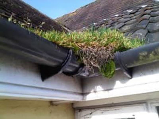 Cleaning Blocked Gutters in Haxey